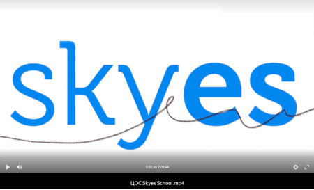 Инструкции по работе на платформах Skype и Skyes School